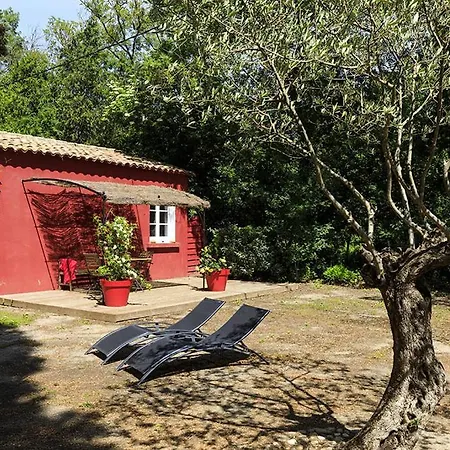 Les Gites Du Domaine De Rhodes Avignon Exterior photo